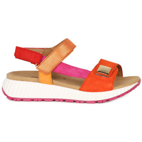 Gabor Gifted Pumpkin Kombi Sandals