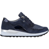 Waldlaufer Hiroko (Waltz) Deepblue Trainers