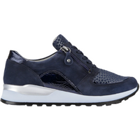 Waldlaufer Hiroko (Waltz) Deepblue Trainers